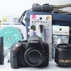 ☆Nikon D5500☆S数約5300回○豪華なおまけ○Wi-Fi搭載 1ヶ月動作補償