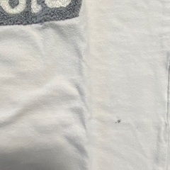 トーマスの仲間　Tシャツ二枚セットの画像