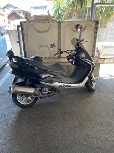 お話中　マジェスティ125cc