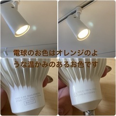 10個セットオーデリックダクトレール専用スポットライトの画像
