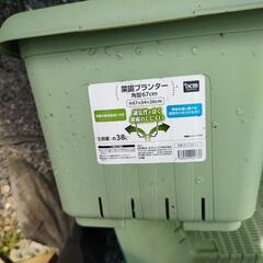 プランターの画像