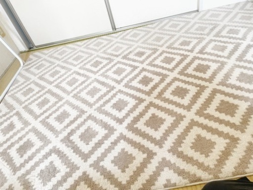 ナチュラルなカーペット