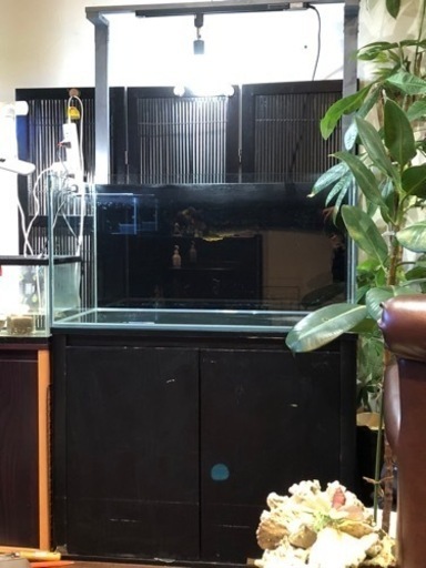 (※)再度販売！！90cmガラス水槽と水槽台と照明