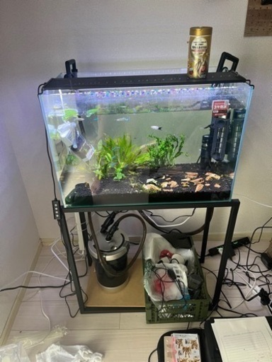 水槽　60cm セット
