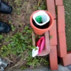 植木鉢色々な大きさの画像