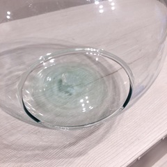 🌿テラリウム ガラス りんご 型🍎✨の画像