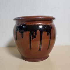 梅干し/漬物 壺の画像