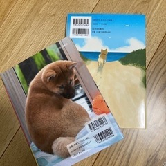 🐶の本📕きららのいのち、みらいちゃんの画像