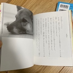 🐶の本📕きららのいのち、みらいちゃんの画像