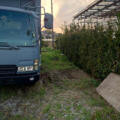 駐車場の草刈りの画像
