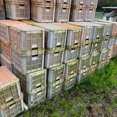 農業用コンテナの画像