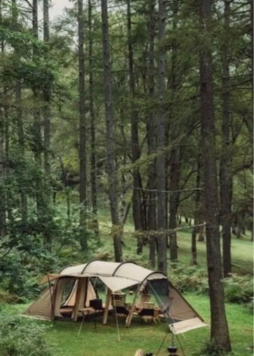 サバティカル　アルニカ　新品未使用