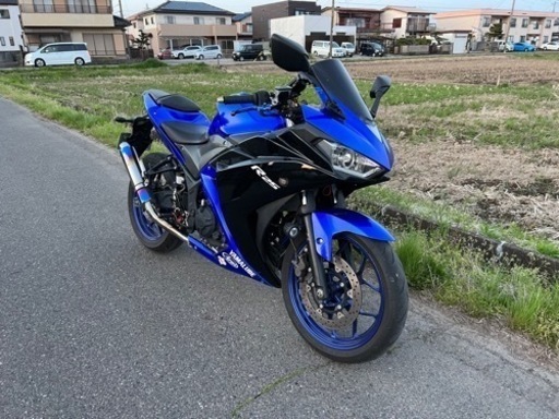 低走行カスタム多数 YZF-R25 2015年式 自賠責5年10月までyzf-r25