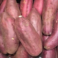 ★人気の食品工場勤務★ 【給与前払い制度あり(稼働分)】 時給1250円 《男性活躍中》新しいピカピカの工場勤務★安心の事前見学会実施★の画像