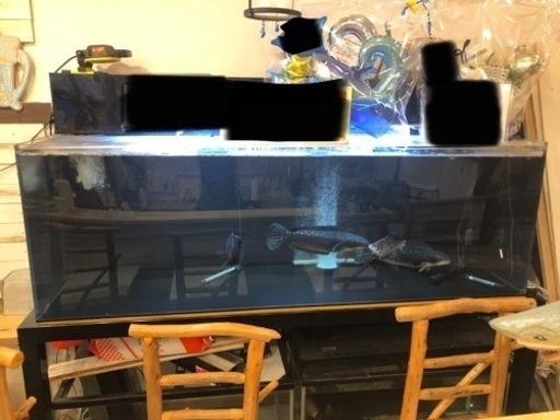 【即飼育可能】1800アクリル水槽セット【超美品】