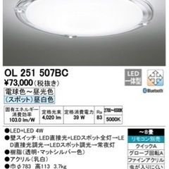オーデリック ODELIC LED シーリングライトOL251 507BC