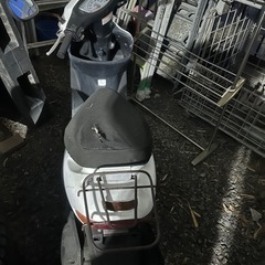 ホンダディオ白整備済みの画像