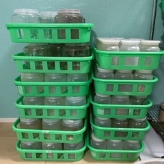 菌糸瓶　未洗浄　クワガタ　カブトムシ