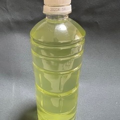 ゾウリムシ種水600ml×1本の画像