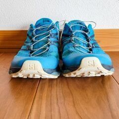 Salomon Sense Ride 2 の画像