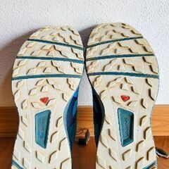 Salomon Sense Ride 2 の画像