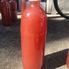 メダカの栄養剤《約900ml》【自家培養PSB】※エビオス錠10個付
