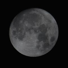 写真を一緒に撮影してくださる方などを募集します