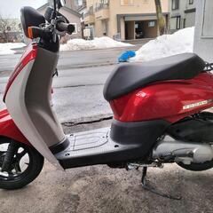 AF67 ホンダトゥデイの中古は買っちゃだめ！？エンジンO.H済！修理箇所ナシ　帯広　HONDA today 中古 　おまけ付き！引取、発送OKの画像