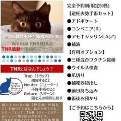 『一斉避妊去勢手術』in下関市