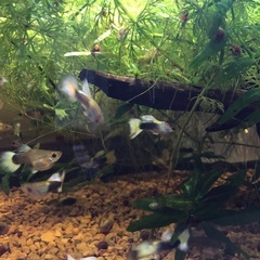 近くの方　の画像