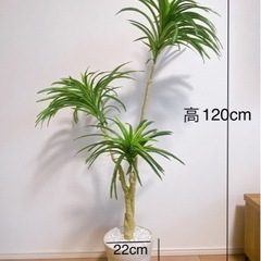 光触媒 人工観葉植物　コンシナ　フェイクグリーン