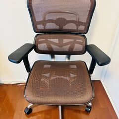 [美中古]エルゴヒューマン ベーシック