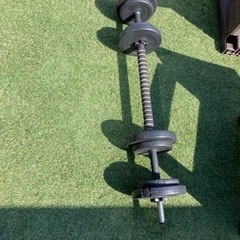 4月1日か2日の午前中までに取りに来れる方限定