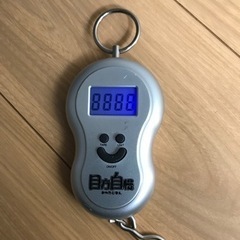 第一精工500ギャフ　(受け渡し先決定しました)の画像