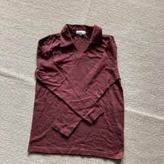 襟つきTシャツ①