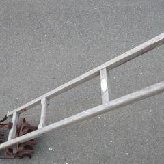 回転除草　　田んぼ