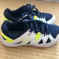バドミントンシューズ　サイズ35の画像