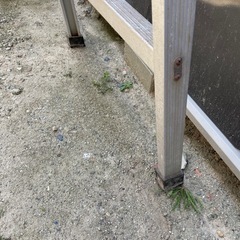中古 脚立の画像
