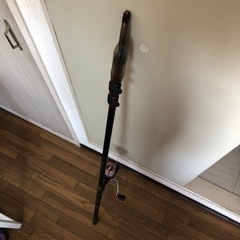 【決まりました】サビキ竿の画像