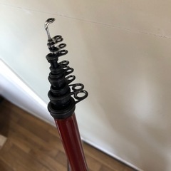 【決まりました】サビキ竿の画像