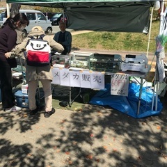 新庄総合公園にて　メダカ販売