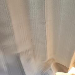 カーテン(160×200の窓サイズ)ライトグレーと、白のレースカーテン。の画像