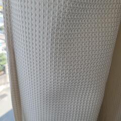 カーテン(横160×高さ120の窓用)　うすーーいクリーム色と、レースカーテンの画像