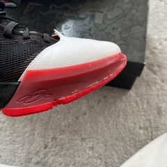 レブロン　バスケットシューズ27cmの画像