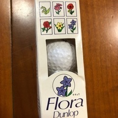 傘、練習用クラブバック、ボールのセット中古品の画像