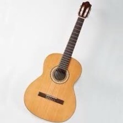 ギターやってる方やりたい方いませんか？🎸