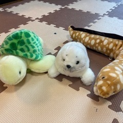 海の生き物　ぬいぐるみ