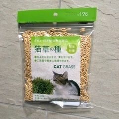 猫草の種