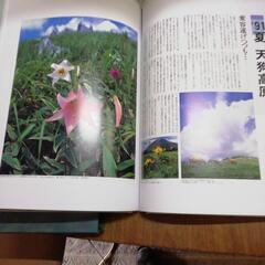 値下げ高知新聞社土佐の自然の画像