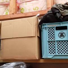 バック色々 1箱900円の画像